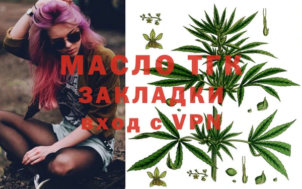 молекула духа Арсеньев