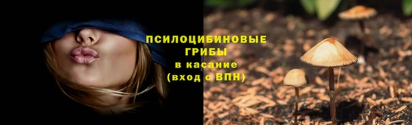 молекула духа Арсеньев