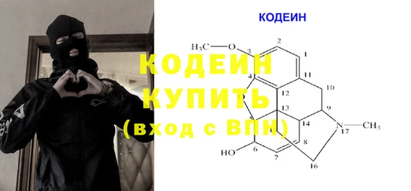 молекула духа Арсеньев