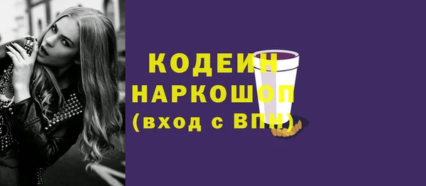молекула духа Арсеньев