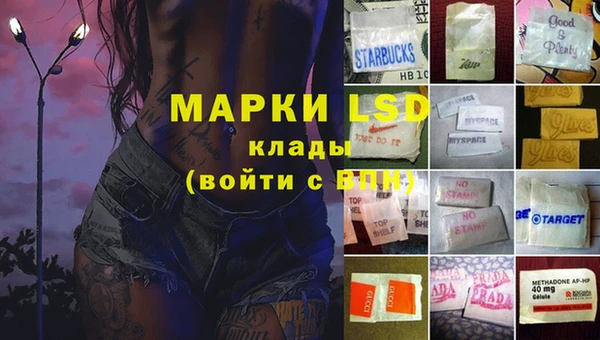 молекула духа Арсеньев