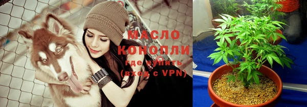 молекула духа Арсеньев